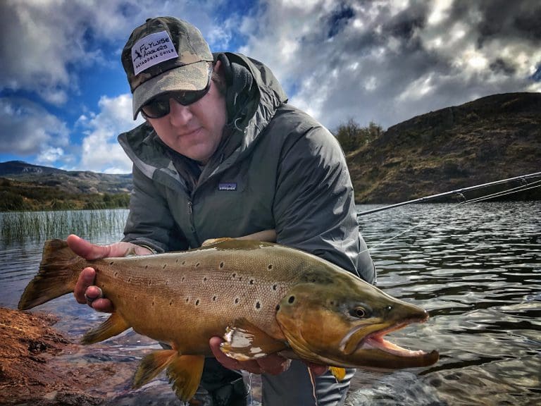 Person holding a large fish by lake.
