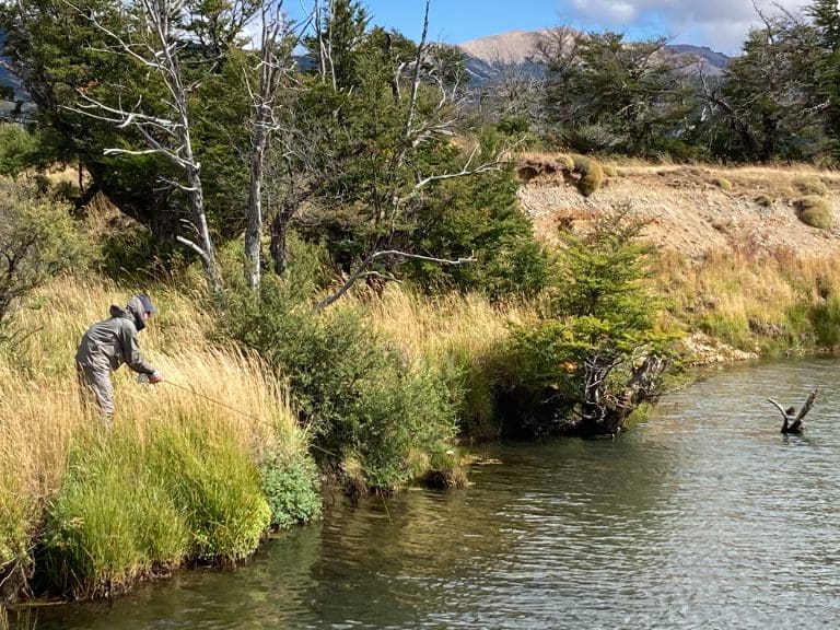Person fly fishing by a riverbank.