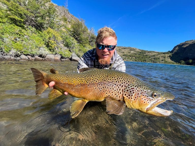 Man holding large brown trout in river.