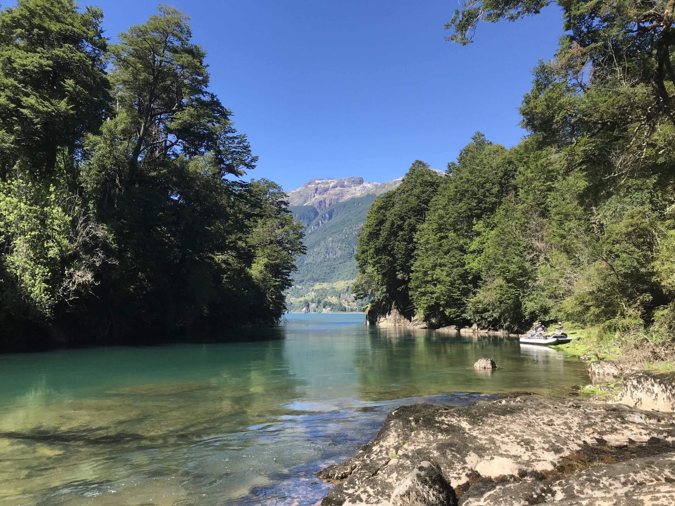 Clear river flowing between lush green trees under a bright blue sky.