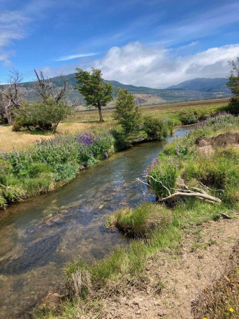 A serene river flows through a grassy, mountainous landscape under a blue sky.