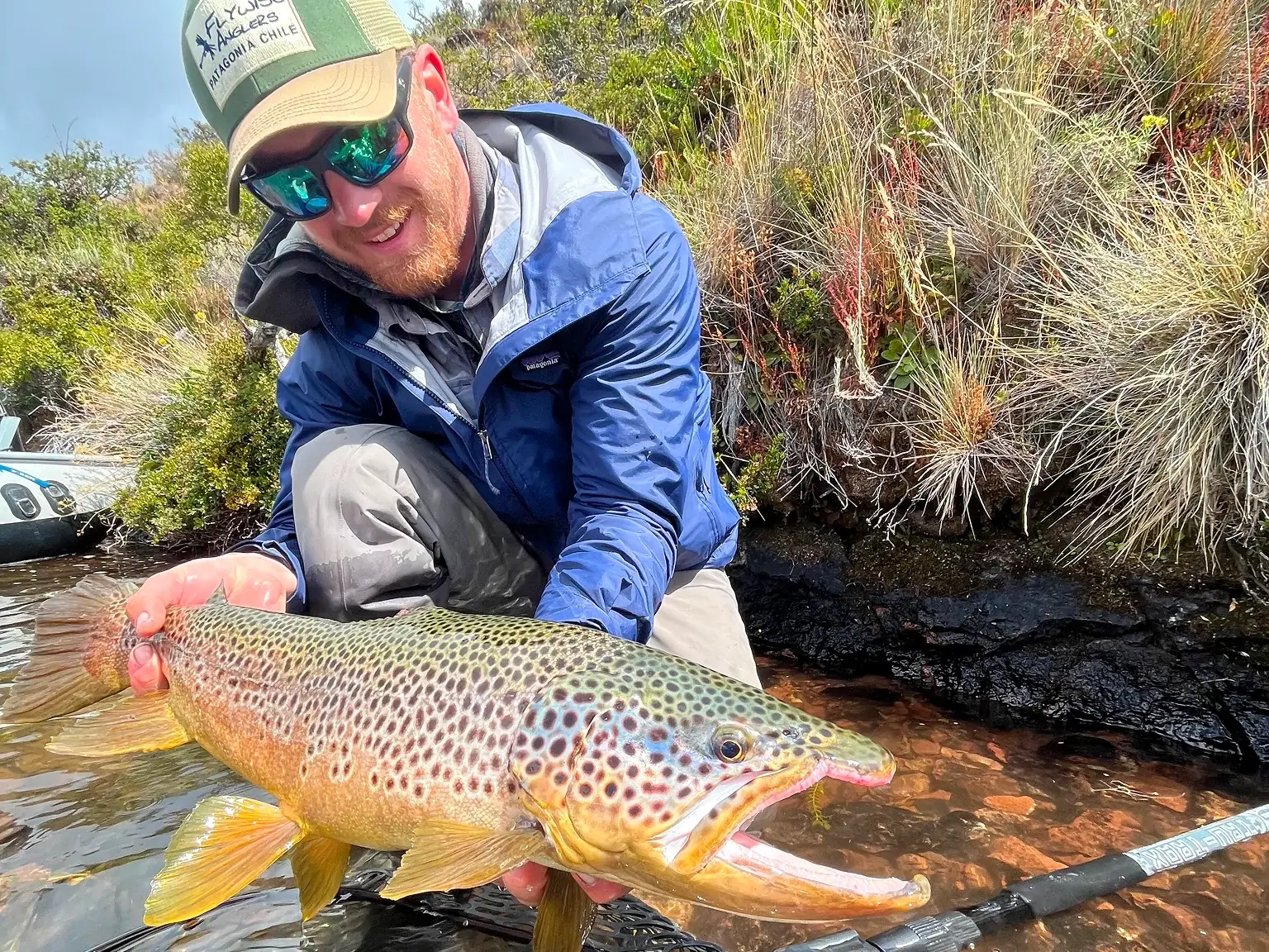 Person holding a large brown trout by the water.